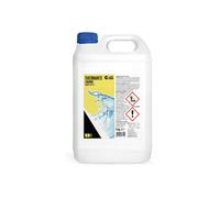 Svernante Lt 5 Trattamento Invernale Per Piscine Fuoriterra Bestway Intex