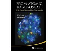Svetlana A Mali From Atomic To Mesoscale: The Role Of Quantum (Copertina rigida)
