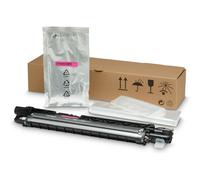 Sviluppatore Magenta - HP - Compatibile con HP Color LaserJet E77825dn, E77830z - Resa di 300000 pagine