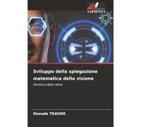 Sviluppo della spiegazione matematica della visione: Struttura della retina