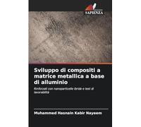 Sviluppo di compositi a matrice metallica a base di alluminio: Rinforzati con nanoparticelle ibride e test di lavorabilità