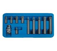 11 Pezzi Schraubendreheinsatz Punta Assortimento M5 - M12 Innenvielzahn