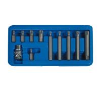 11 Pezzi Schraubendreheinsatz Punta Assortimento M5 - M12 Innenvielzahn
