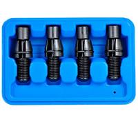 SW-Stahl 26504L - Set di 4 perni per aggiustamento, per telaio