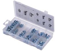 SW Stahl Assortimento di Ingrassatori, 110 Pezzi S8065 - Kit Nippli