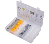 SW STAHL S8018 Assortimento Clip di Montaggio Renault, 300 Pezzi