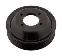 SWAG 20 93 0125 Puleggia, Pompa acqua