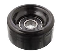 SWAG 33 10 5276 Galoppino/Guidacinghia, Cinghia Poly-V per ACURA,HONDA