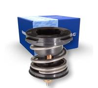 SWAG 30 10 4981 Termostato motore