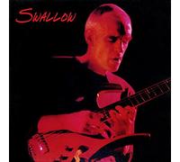 Swallow Steve Trio - Swallow