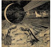 swallow the sun - new moon