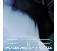 Swallowed By A Whale