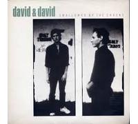 Swallowed by the cracks (1986) / Vinyl Maxi Single [Vinyl 12'']