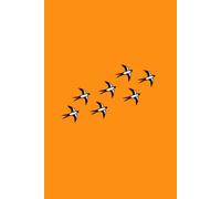 Swallows Notebook: A Ruled 6” x 9” Notebook with 120 Pages and a Matte Cover for Bird Lovers, dreamers and Free Spirits