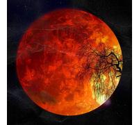 Swamp Thing X Uncle Fester Live From Exile (Vinyl LP)