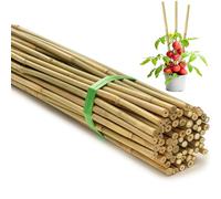 SWANGSA Confezione da 75 pali da giardino in bambù da 1,5 m, per supporto per piante, pali da giardino per pomodori, fagioli, fiori, piante rampicanti in vaso, per interni ed esterni