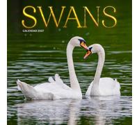 Swans Calendar 2027: Water Birds and Lakeside Scenes