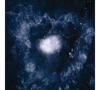 Swans - My Father Will Guide Me Up A Rope To The Sky