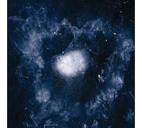 Swans My Father Will Guide Me Up to a Rope to the Sky (CD) Album