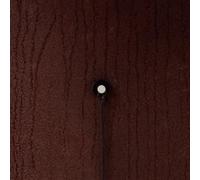 Swarm Intelligence - Rust