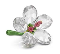 Swarovski 5690534 Florere Ibisco