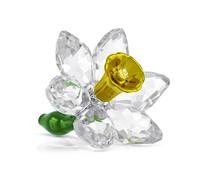 Swarovski 5721540 Florere Narciso