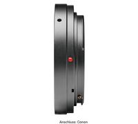 Swarovski T2 Anello Canon