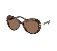 Swarovski SK 6026 (100273)