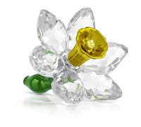 Swarovski Florere Narciso