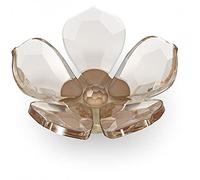 Swarovski Garden Tales Magnete Magnolia 5580029