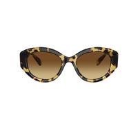Swarovski SK 6005 100913 53 Occhiali da Sole