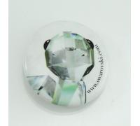 Swarovski spilla promozionale rara tartaruga collezione lovelots