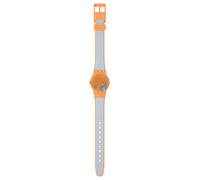 Swatch View From A Mesa LO116