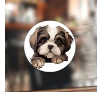 Swavecat Shih Tzu Simpatico e divertente cane che sbircia etichette adesive rotonde Shih Tzu vinile adesivo rotondo adesivo decorativo per San Valentino regalo per matrimonio festa di compleanno 5,1