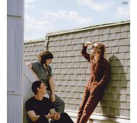 Swearin' Fall Into The Sun (Vinyl LP)