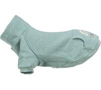 Sweatshirt Littleton mint