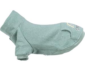 Sweatshirt Littleton mint