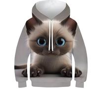 Sweatshirt per Bambini con Fantasia 3D Gatto 3D - Felpa per Bambini alla Moda, Hoodie per Bambini Adatto per Sport E Tempo Libero