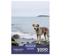 Swedish Vallhund Puzzle 1000 Pezzi Pet Dog - Attività Mindful & Creativa, Cartone Spesso, Poster Da Muro, 70x50cm/1000pcs