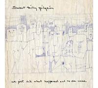 Sweet Billy Pilgrim - We Just Did What Happened..