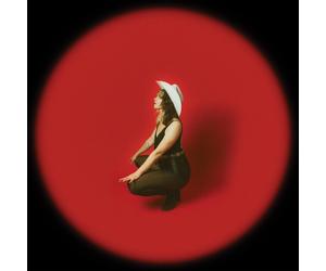 Sweet Megg My Window Faces the South (Vinyl LP)