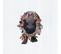 Sweet Williams - Please Let Me Sleep On Your Tonight