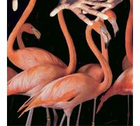 what's wrong with you