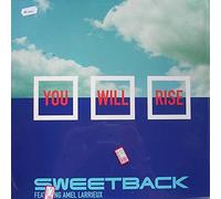 Sweetback Featuring Amel Larrieux - You Will Rise