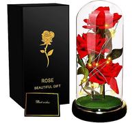SWEETIME La Bella e la Bestia, 3 rose rosse di seta in cupola di vetro con luce calda, fiore artificiale che si illumina, regalo per le donne per anniversario, festa della mamma, compleanno, San