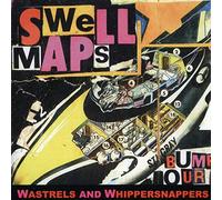 Swell Maps - Wastrels And Whippersnappers