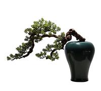 SWENEEN Piante Finte per La Casa, Albero Bonsai Artificiale, Piante Finte Decorative per Interni con Vasi in Ceramica, Albero Bonsai in Vaso per La Casa, Decorazione da Scrivania,