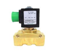 SWEWDSQG Elettrovalvola Aria compressa 2/2 Vie NC con pilotaggio a pistone 21PW4K0T120 21PW3K0T120 AC110V DC12V(21PW3K0T120(8W),AC24V)