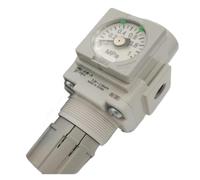 SWEWDSQG Manometro Incorporato Valvola riduttrice di Pressione AR20-01BE-B AR20-01BE2-B AR20-N02E-ZB(AR20-01BE-B)