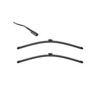 SWF 119474 dischi Wisch Foglie